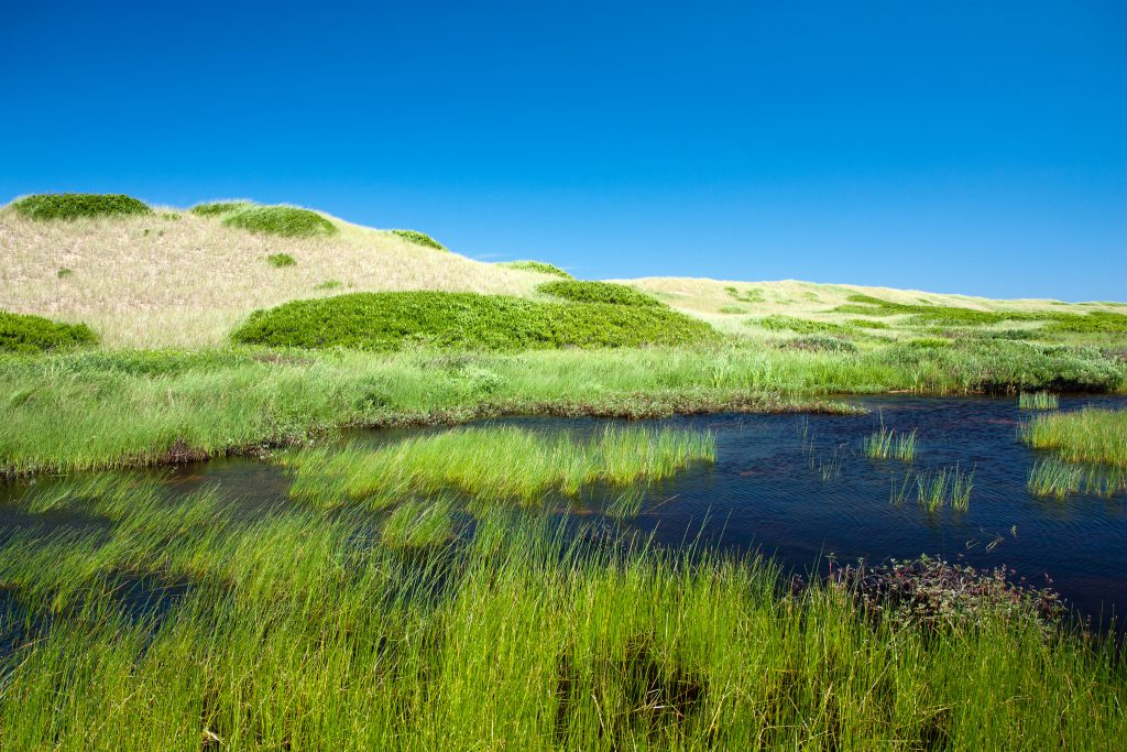 Île-du-Prince-Édouard