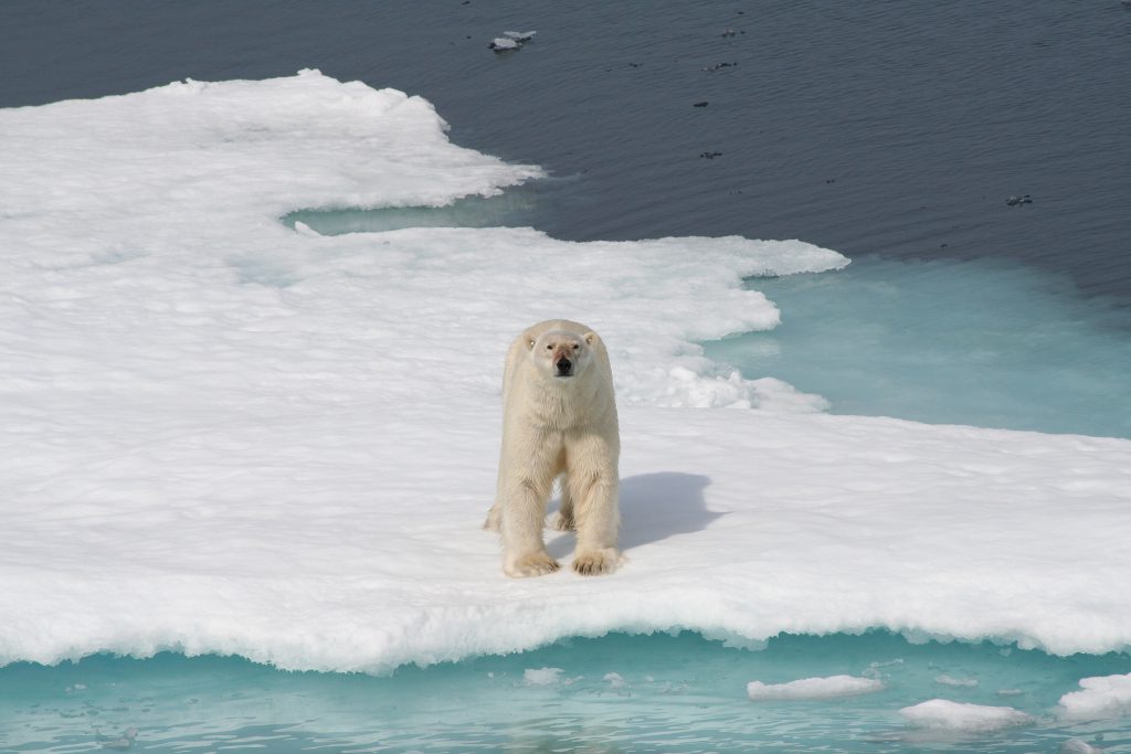 Iqaluit