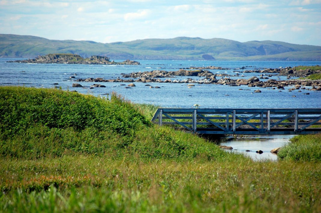 Anse aux Meadows site archéologique et vikings au Canada