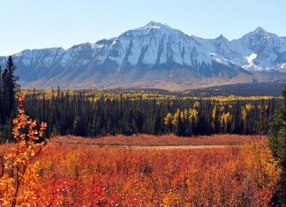 parc national Kluane