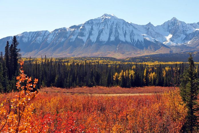 parc national Kluane