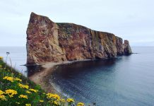 road trip en Gaspésie