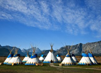 Morley Tipis