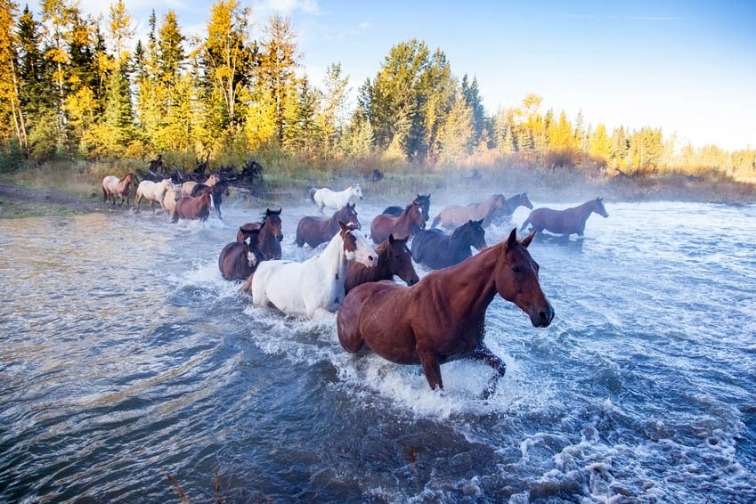 Hors des sentiers battus au Canada : Top des visites 