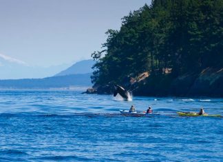 île de Vancouver