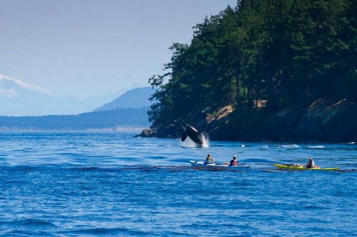 île de Vancouver