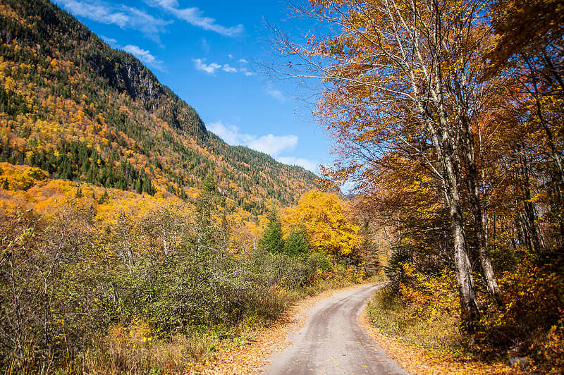 Parc national de la Jacques-Cartier 