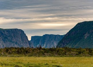 parc national du Gros-Morne